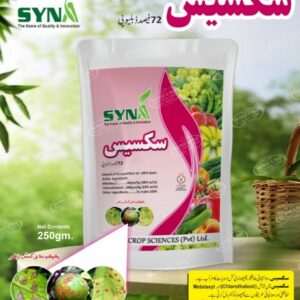 big-1 Success 250gm Chlorothalonil 640gm/kg + Metalaxyl 80gm/kg Arysta Life Science
