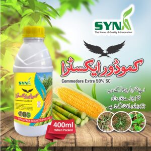 big-1  Click here to watch video related to this Product Commodore Extra 50SC 1ltr Fmc Mesotrione 10 Atrazine 40 Best Weedicide/Herbicide